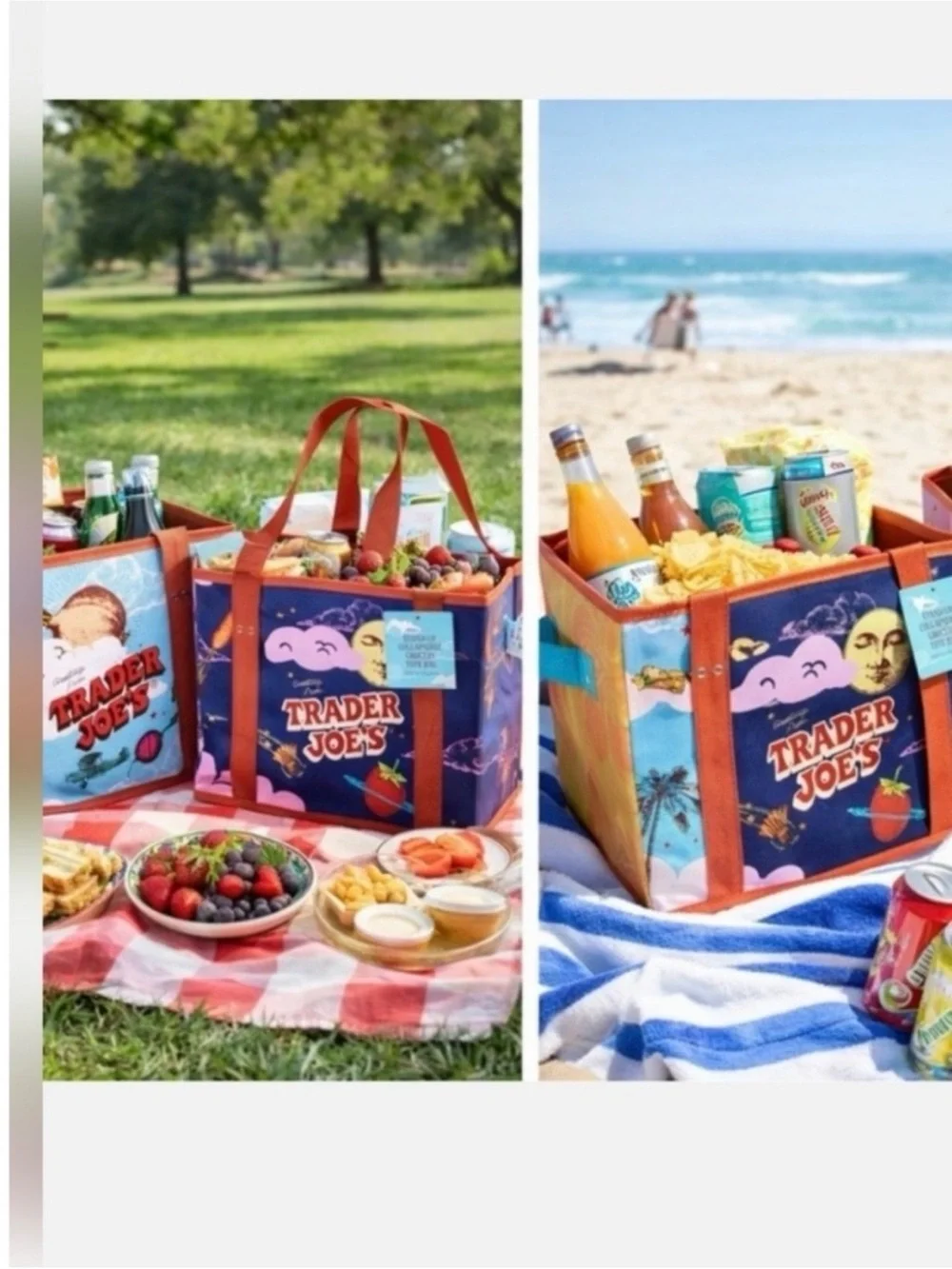 Trader Joe's Stand-Up Collapsible Grocery Tote Bag new